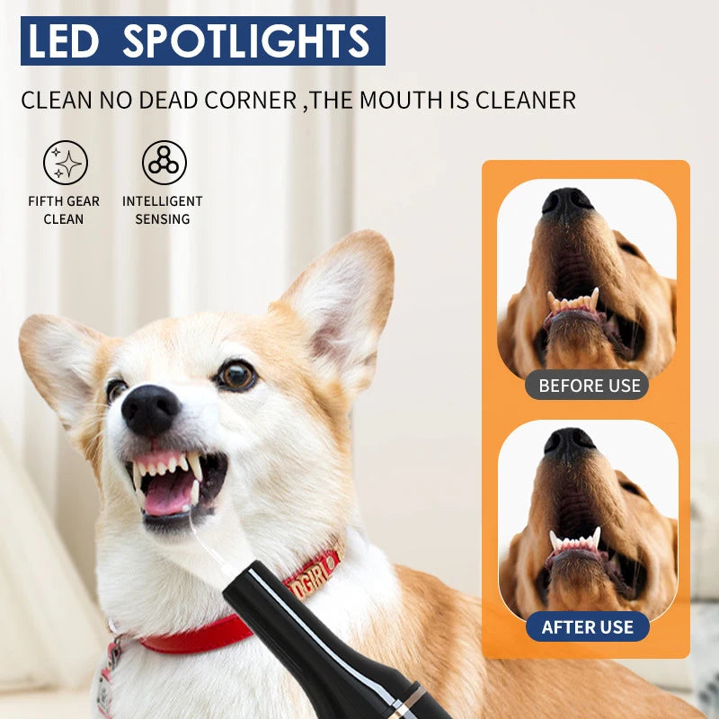 Household Dog Toothbrush Ultrasonic Portable Dog Toothbrushs Electric Bright White Teeth Professionally Cleaner Pet Supplies