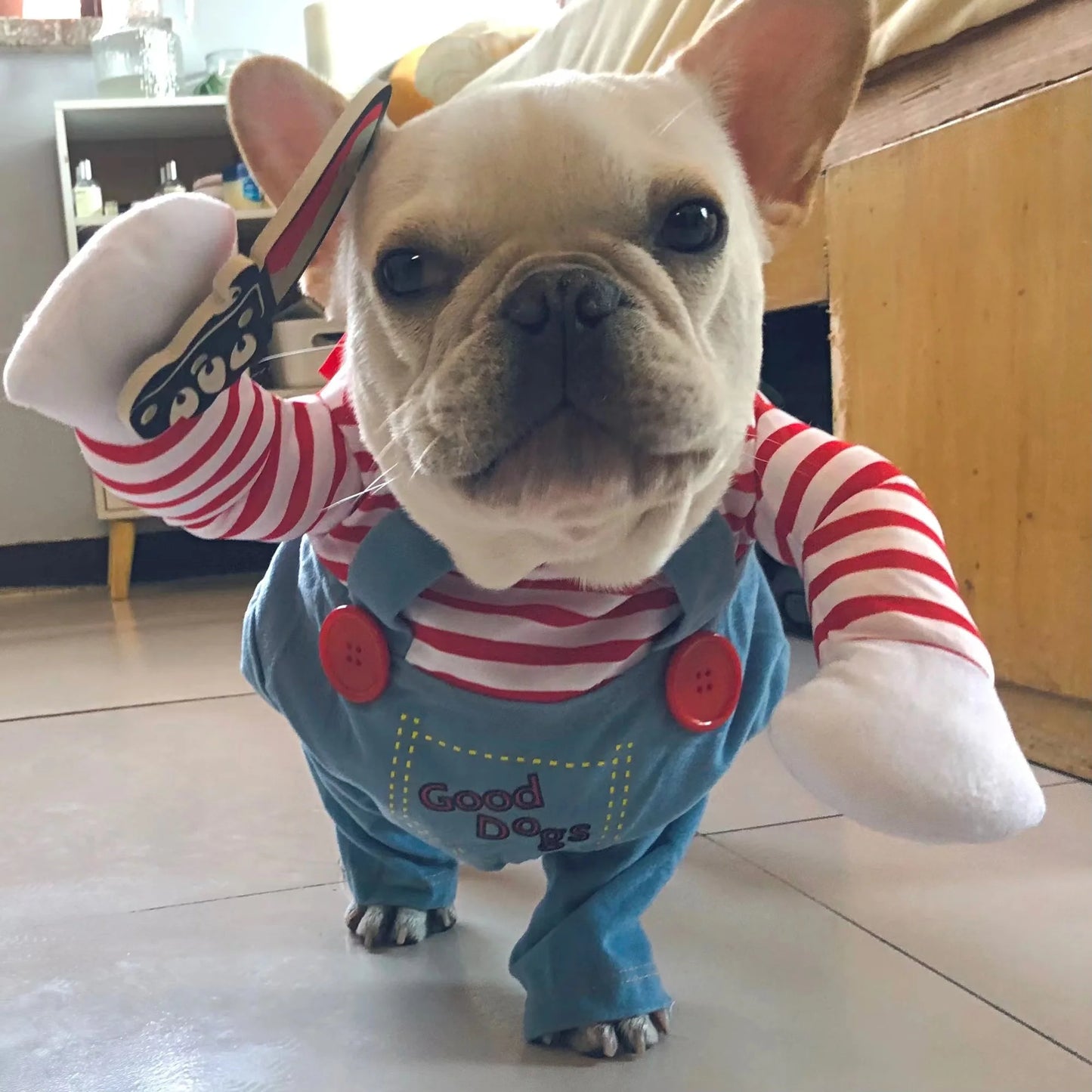 Halloween Funny Dog Clothes for Small Medium Dogs Cats Party Dressed Up Cosplay Costumes Bulldog French Chihuahua Pet Outfits