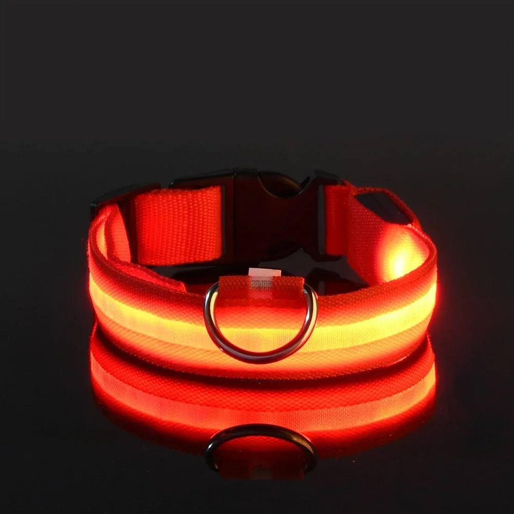 Reflective LED Dog Collar for Night Safety - Durable, Geometric Patterned, Battery-Powered, Ideal for Small/Medium Breeds