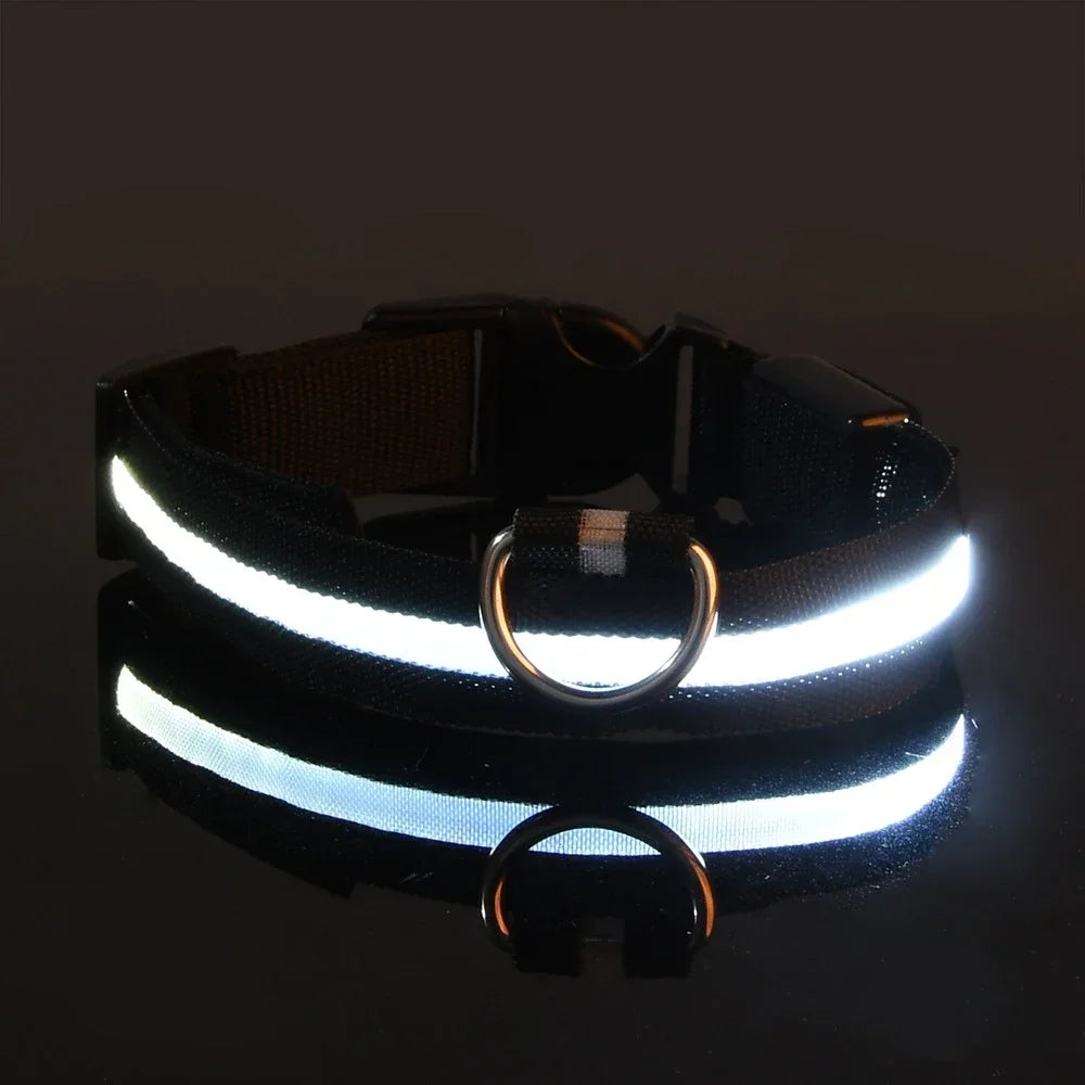 Reflective LED Dog Collar for Night Safety - Durable, Geometric Patterned, Battery-Powered, Ideal for Small/Medium Breeds